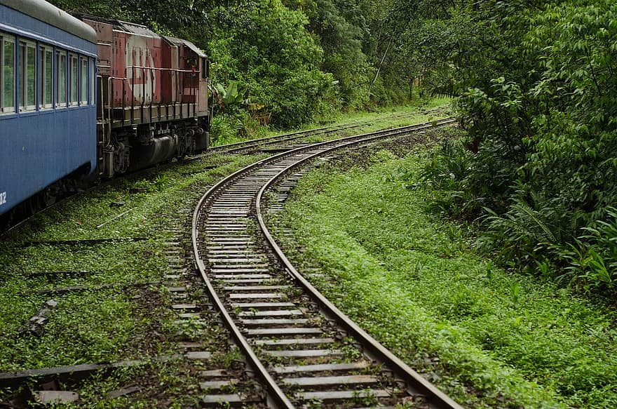 τρένο, curitiba, μοιάζει, ατλαντικό δάσος, σιδηροτροχιές, αναβαθμίζω, βόλτα