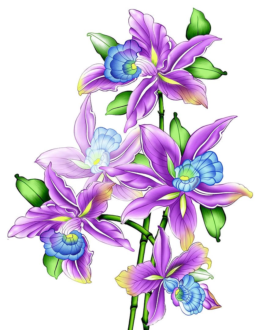 illustration, vintage blomster