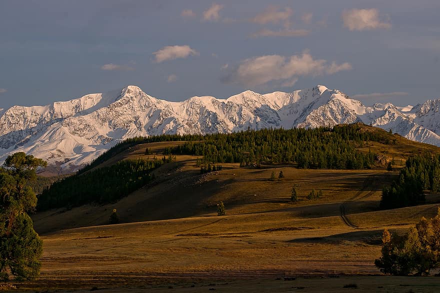 Altaï, les montagnes, paysage, neige, lever du soleil, des arbres, champ, steppe, la nature, Aube, Montagne