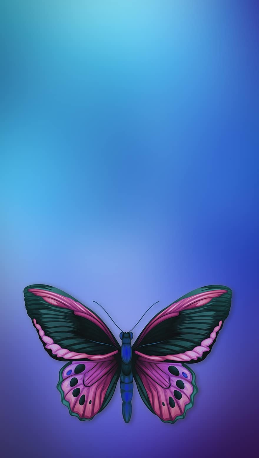papillon, carte, droit, verticale, modèle, coloré, décoratif, papillon bleu