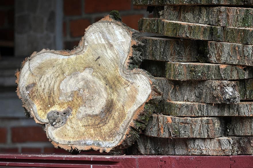 Wood, Slices, Stumps, Growth Rings, Logs, Stacked, Bark, Closeup, close-up, old, brick