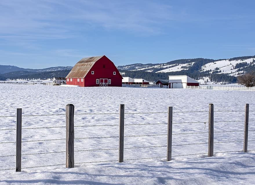 Granero rojo, nieve, invierno, granja, cerca, campo, rancho, rural, agricultura, alambre de espino, paisaje
