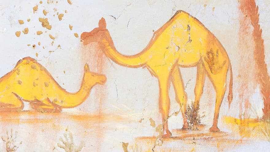 Mesir, unta, Afrika, alam, lukisan dinding
