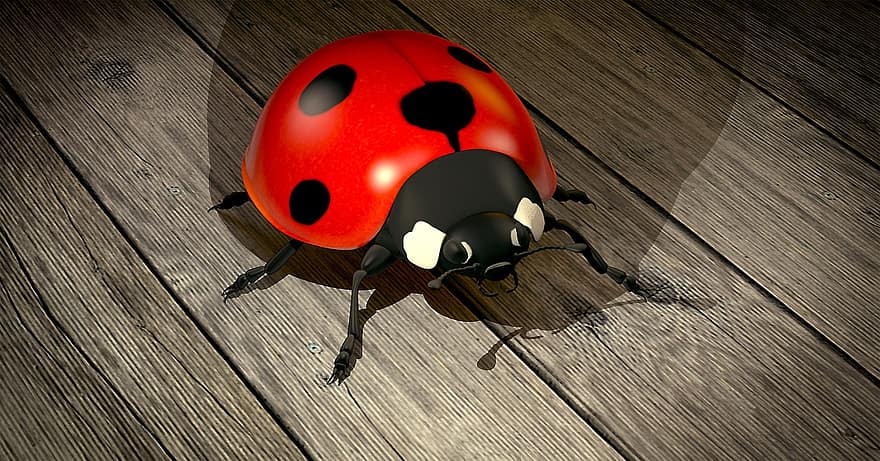 Marienkäfer, Käfer, Glücksbringer, Natur, Insekt, 3d, Rendern, Okklusion, Raydiosity, Animation, Grafik