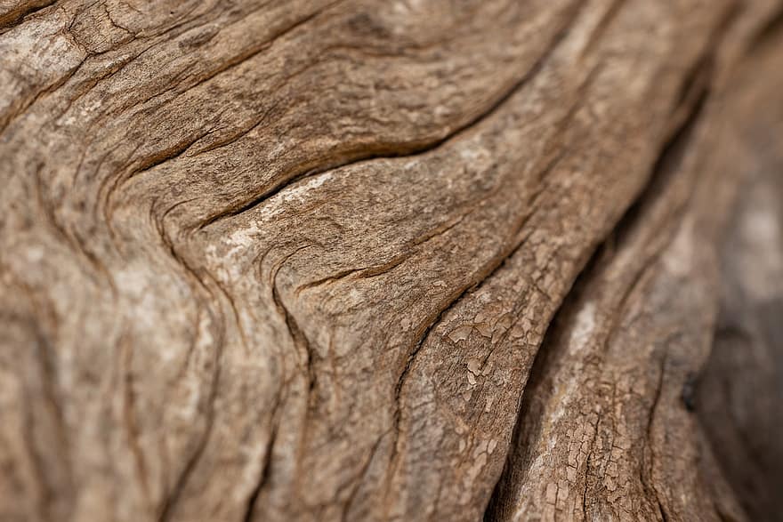 drewno, drzewny, drewniany, polano, papierowa chusteczka, wzór, abstrakcyjny, stary, tło