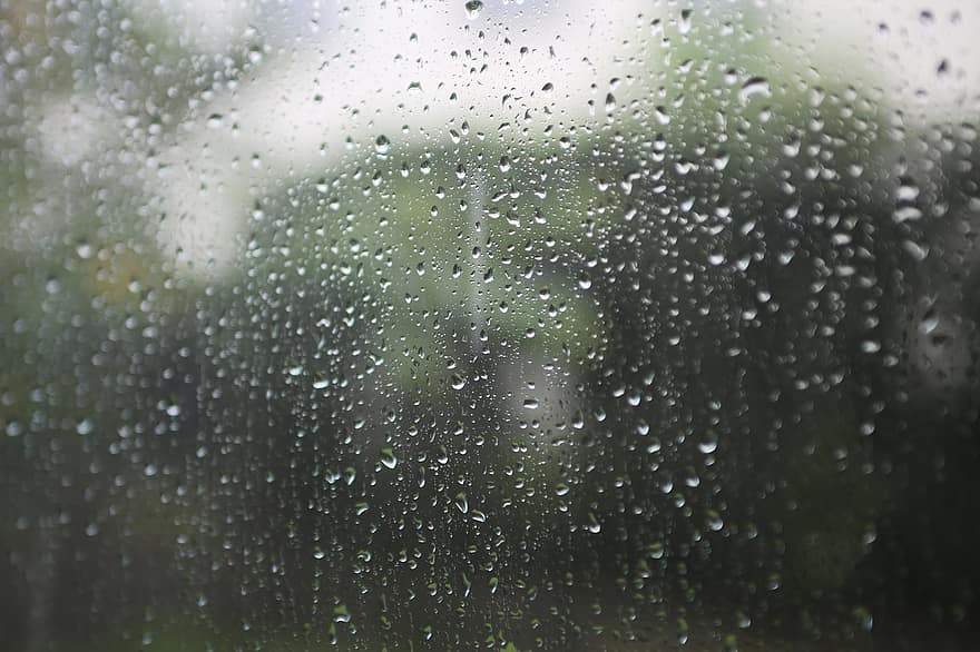 regn, regndroppar, fönster, glas, vattendroppar, daggdroppar, våt