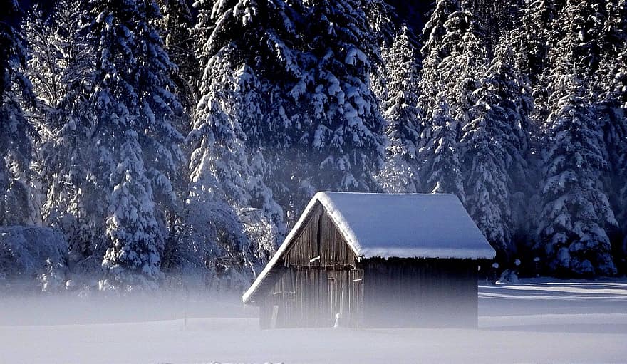 žiemos, sniegas, namelis, kotedžas, kabina, medžiai, žiemą, rūkas, snieguotas, pobūdį, kraštovaizdį
