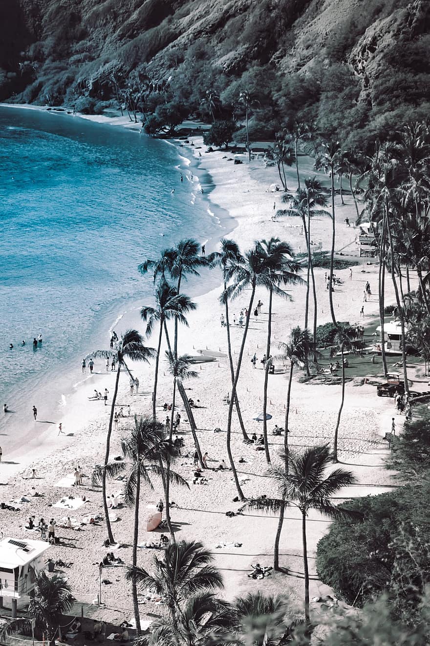 Strand, palm, hav, ferie, natur, vann, sand, reise, sommer, paradis, landskap