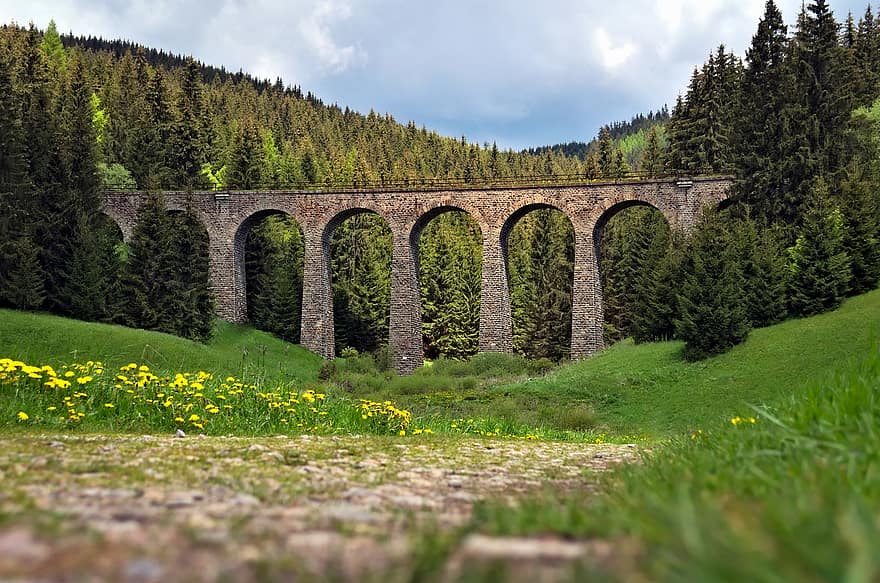Architecture, Viaduct, Bridge, Railway, Nature, Forest, Country, Scenery