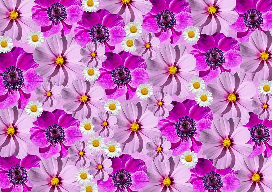 フラワーズ、自然、フローラ、咲く、紫の、グラフィック