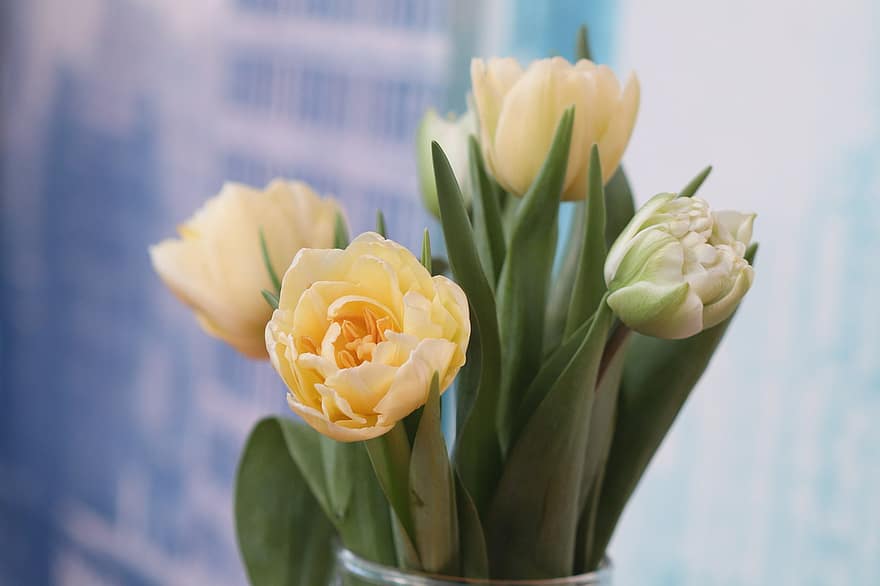 tulipes, fleurs, bouquet, bouquet de fleurs, arrangement de fleurs, arrangement floral, Floraison, fleur, décoratif