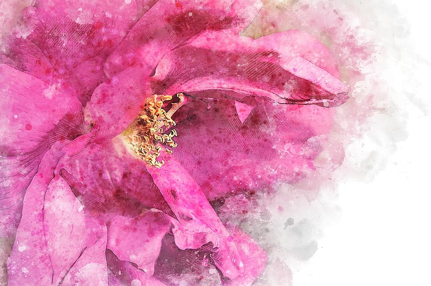 rosa, pétalas, Rosa, fundo, pano de fundo, de madeira, madeira, prancha, floral, plantar, aguarela