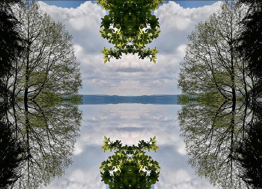 reflecţie, natură, copaci, abstracție, în aer liber, ceaţă, copac, pădure, frunze, albastru, nor