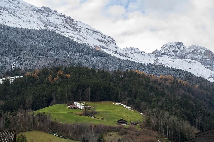 talvi-, luonto, matkustaa, tutkiminen, ulkona, Sveitsi, vuori, maisema, metsä, niitty, lumi