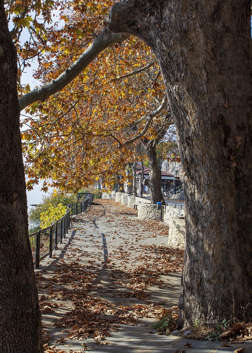 กรีซ, เดินเล่น, ฤดูใบไม้ร่วง, Kastoria, ตก