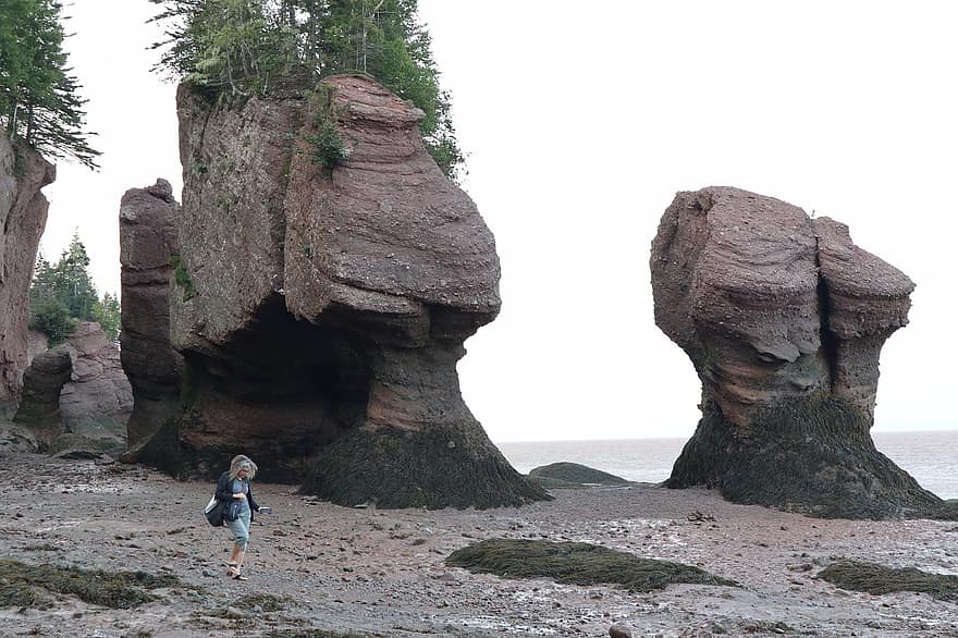 batu hopewell, formasi batuan, jubah hopewell, brunswick baru, Kanada, pemandangan