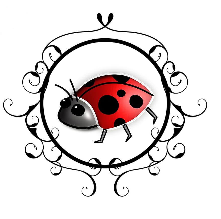 lieveheersbeestje, insect, omlijst, schattig, dier, ontwerp, baby, zomer, kind, spotprent, decoratie
