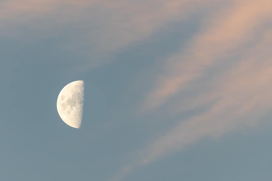 måne, Halvmåne, satellitt, astronomi, himmel