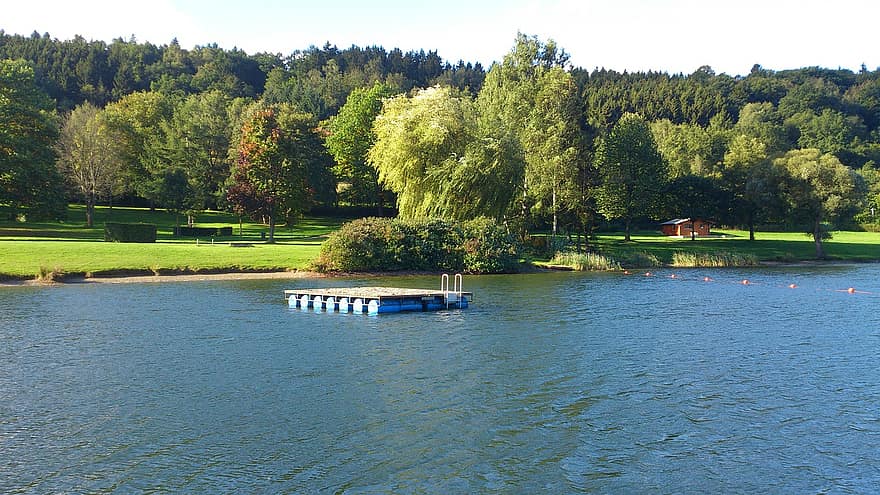 lago, plataforma de natação, natureza, floresta, arvores, lagoa, jangada, piscina natural, Rurberg, Rursee - Eifel