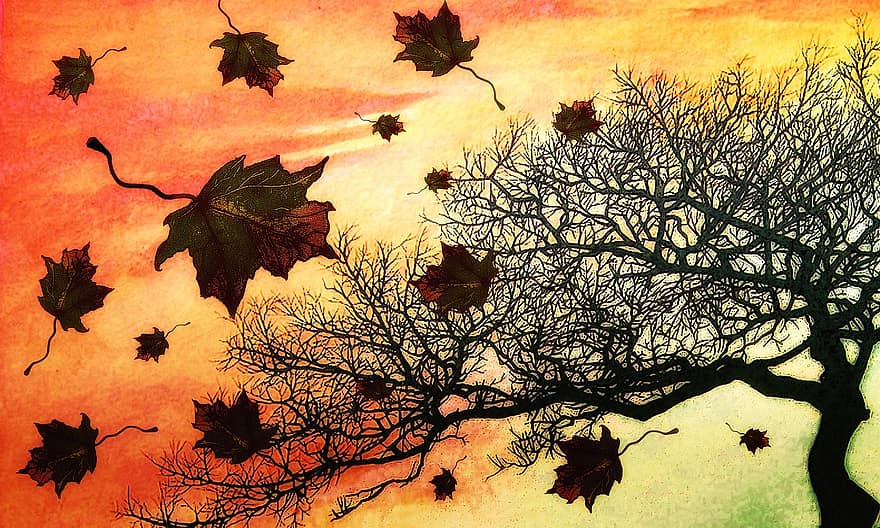 podzim, Příroda, list, oranžový, sezóna, žlutá, strom, podzimní listy, podzimní listí, Červené, les