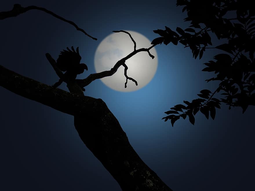 natt, månsken, mörk, himmel, träd, fågel, landskap, natur, måne, fullmåne, nocturne