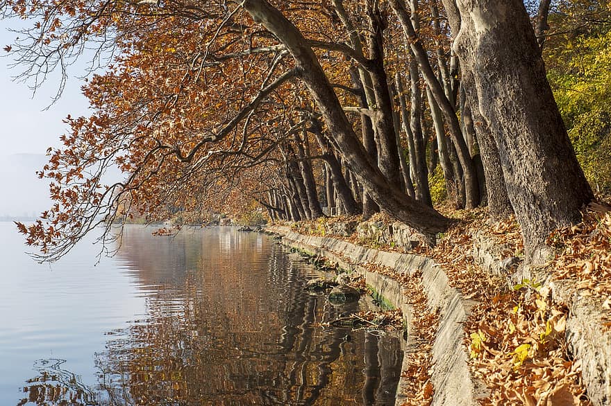 Grecia, lago, otoño, Kastoria, niebla, árbol, bosque, hoja, temporada, amarillo, paisaje