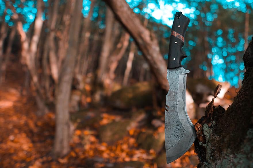 Knife, Weapon, Tree, Forest, Games, Wild, Nature, Wilderness, Wood, Trees, Adventure
