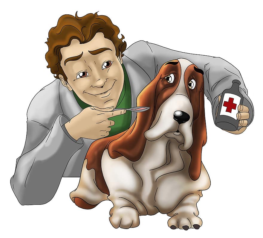 veterinar, câine, îngrijire, medicament