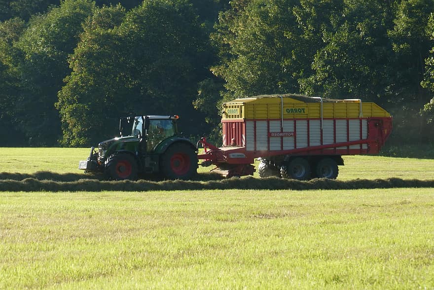 traktor, pertanian, musim panas, panen, mesin pertanian, mesin, teknologi, perusahaan, rumput