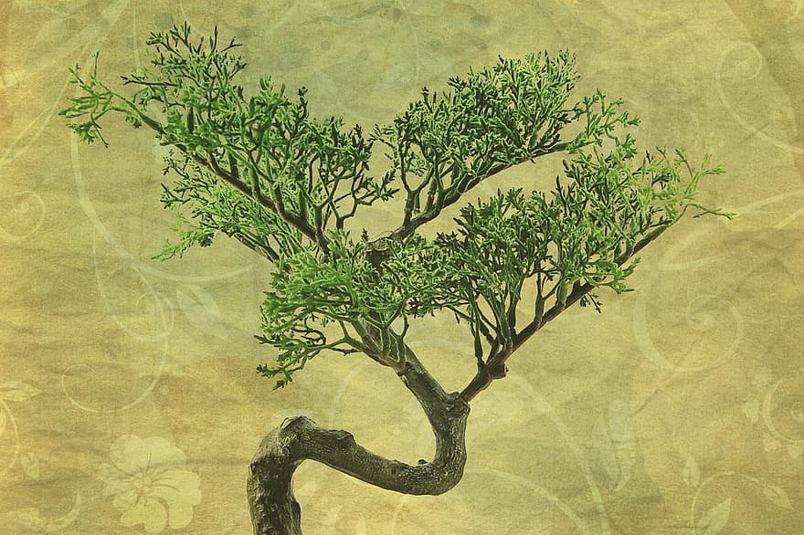 tekstura, tło, bonsai, drzewo, roślina, Japonia, papier, Tapeta, deco, dekoracyjny, martwa natura