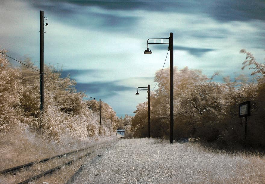 vies del ferrocarril, vies del tren, camp, paisatge, Leipzig, hivern, neu, arbre, llanterna, temporada, gel
