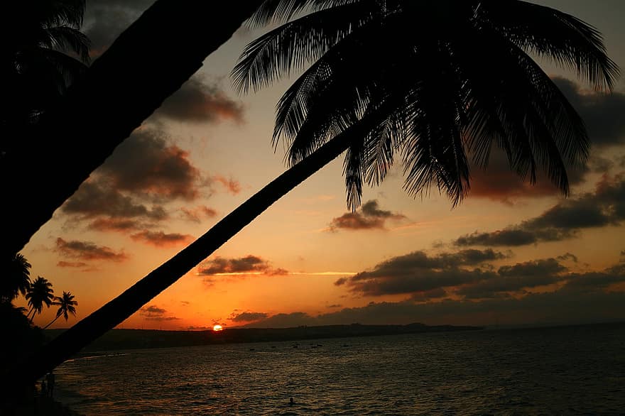 tramonto, paesaggio marino, tropici, spiaggia, sabbia, idilliaco, yoga, rilassamento, meditazione, Vietnam, Muine