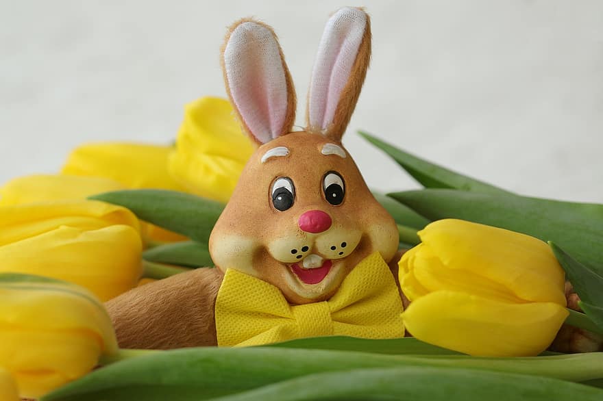 Pasqua, conill de Pasqua, decoració de pasqua, flors grogues, tulipes, tulipes grocs, primavera, targeta de felicitació, conill, groc, tulipa
