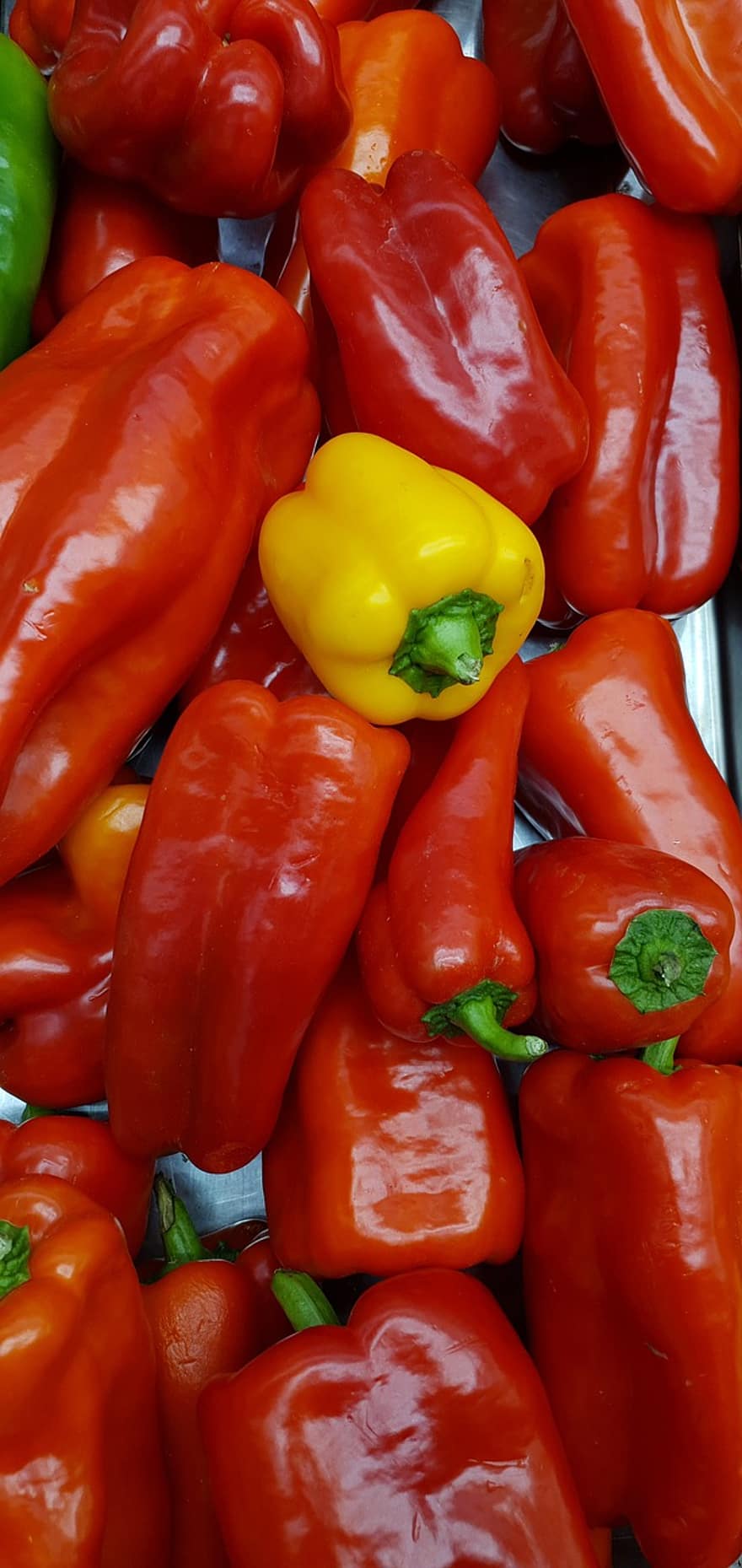 Peppers, Organice, Spicy, Flavor, Vegetables, Food, Healthy, vegetable, freshness, bell pepper, healthy eating
