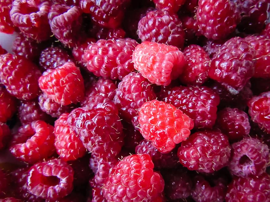 रास्पबेरी, फल, गर्मी, लाल, ठंडा, विटामिन, सानो, खाना, पोषण, आहार, शाकाहारी