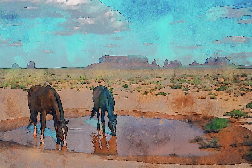 Estados Unidos, Arizona, Valle del monumento, parque Nacional, costoso, caballo, animal, mamífero, punto de referencia, viaje, turismo