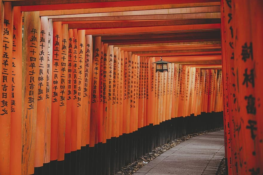 svatyně, cesta, chrám, šintó svatyně, Svatyně Fushimi Inari Taisha, senbon torii, Asie, kyoto, Japonsko, fuji, venkovní