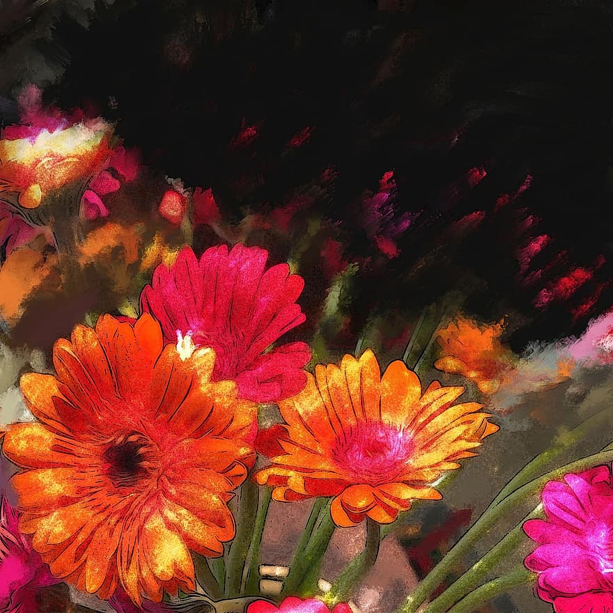 fiori, illustrazione, gerbera, immagine di sfondo, biglietto d'auguri, arancia, nero, contrasto