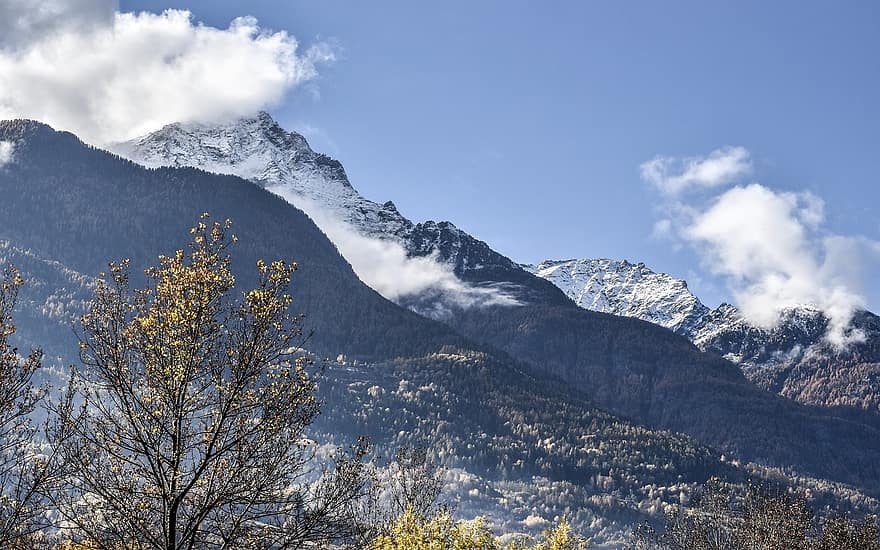 Berge, Baum, Schnee, Wald, Tanne, Alpen, Italien, Reise, Natur, Winter