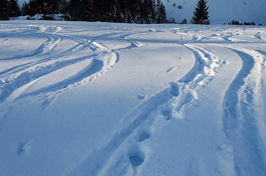 sneeuw, winter, ski-tracks, koude, vorst, besneeuwd, ijs-, skigebied, landschap, buitenshuis, zonlicht