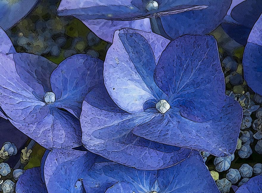 květy, vodové barvy