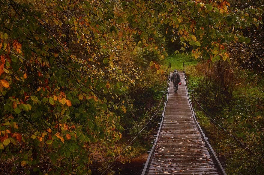 Brücke, Herbst, Natur, Wanderung, Reise, Erkundung