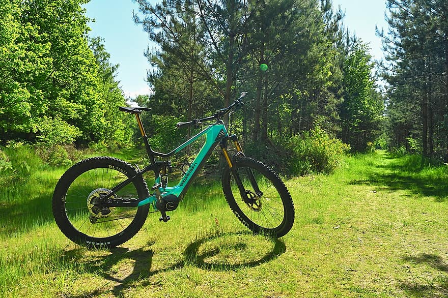bicicleta eléctrica, Bicicleta de montaña eléctrica, pedelec, e-mtb, bicicleta, al aire libre, prado, bosque