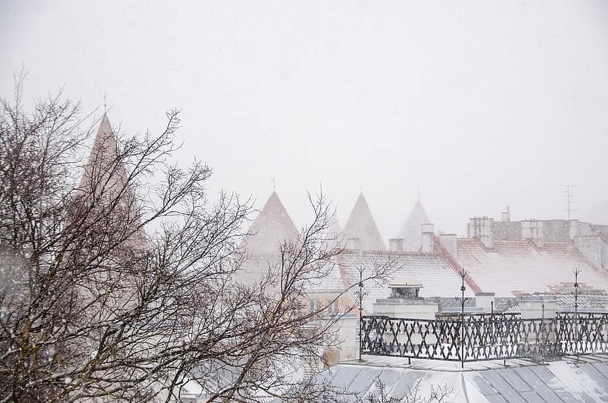 kar yağışı, evler, ağaçlar, kar, kar yağışlı, kış, kış sezonu, kırağı, winterscape, şube, Estonya