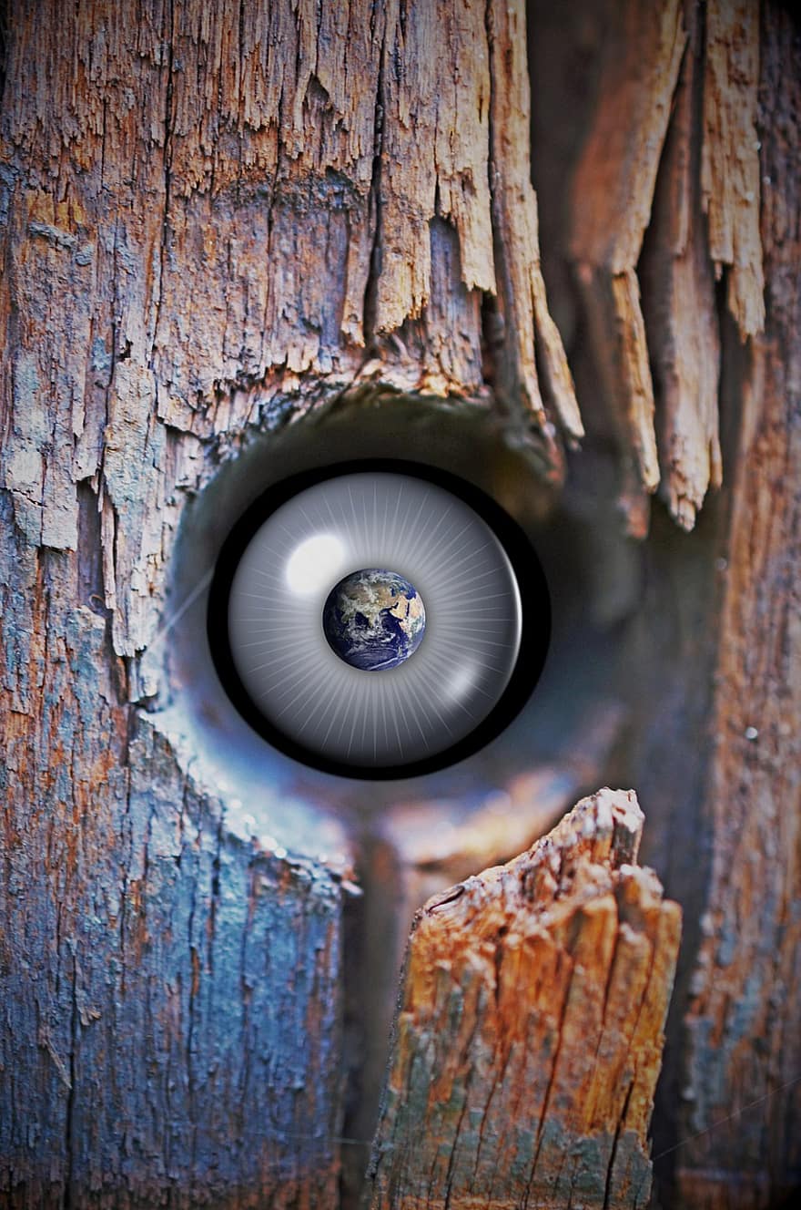 Fantasy, Eye, World, Earth, Wood, Knothole, Watching, Looking, Spying, Observing, Artistic