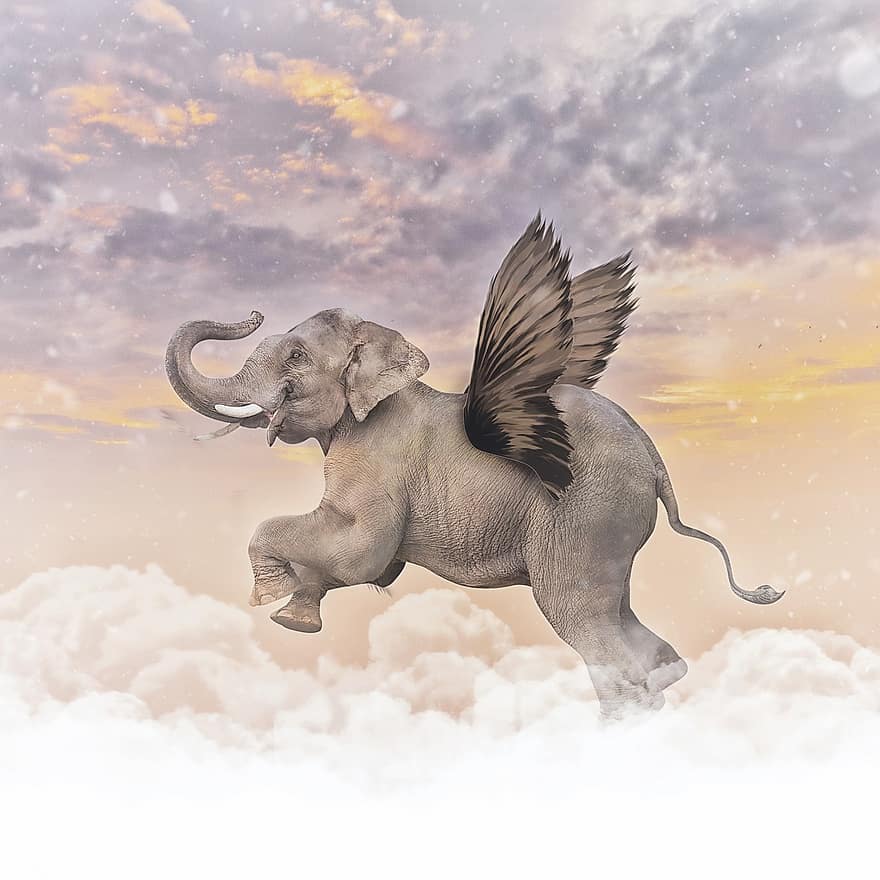 dramblys, sparnai, fantazija, žinduolių, gyvūnas, rūšis, fauna, safari, svajonė, skristi, debesys