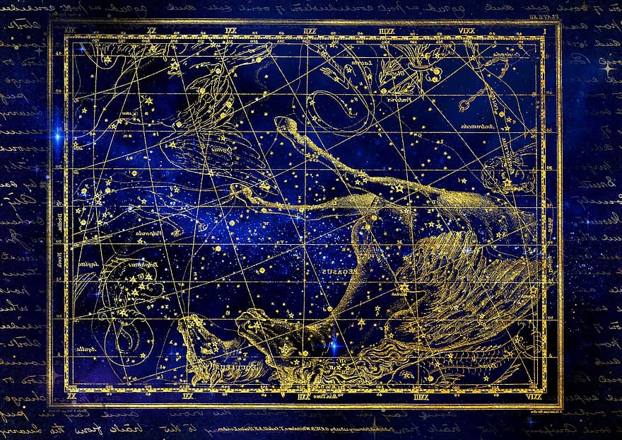 konstellation, häst, delfin, stjärntecken, himmel, stjärnbeströdd himmel, Alexander Jamieson, hälsning, gratulationskort, Stjärnatlas, horoskop