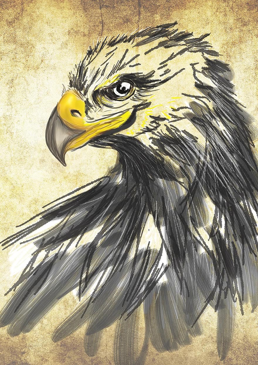 Drawing, Art, Eagle