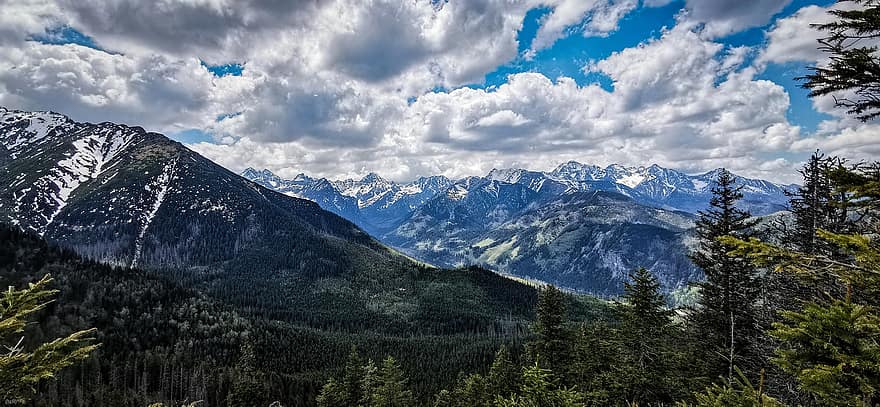 Mountains, Peak, Forest, Trees, Woods, Sky, Clouds, Summit, Mountain Range, Landscape, Nature
