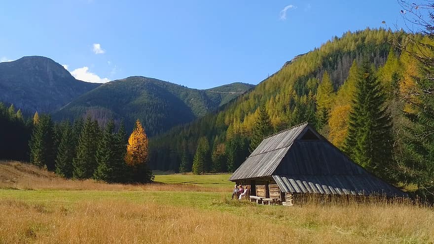 hegyek, kunyhó, nyom, Tatry, Sycamore Valley, polyana, Lengyelország, ősz, természet